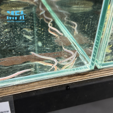 [미꾸라지!] 네온 쿨리 로치 4~6cm