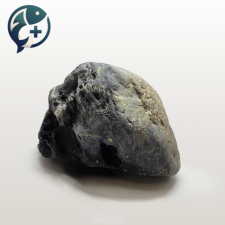 오석 수석 S 10~15cm