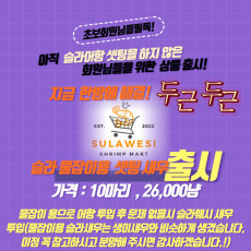 ❤️슬라웨시물잡이용새우?